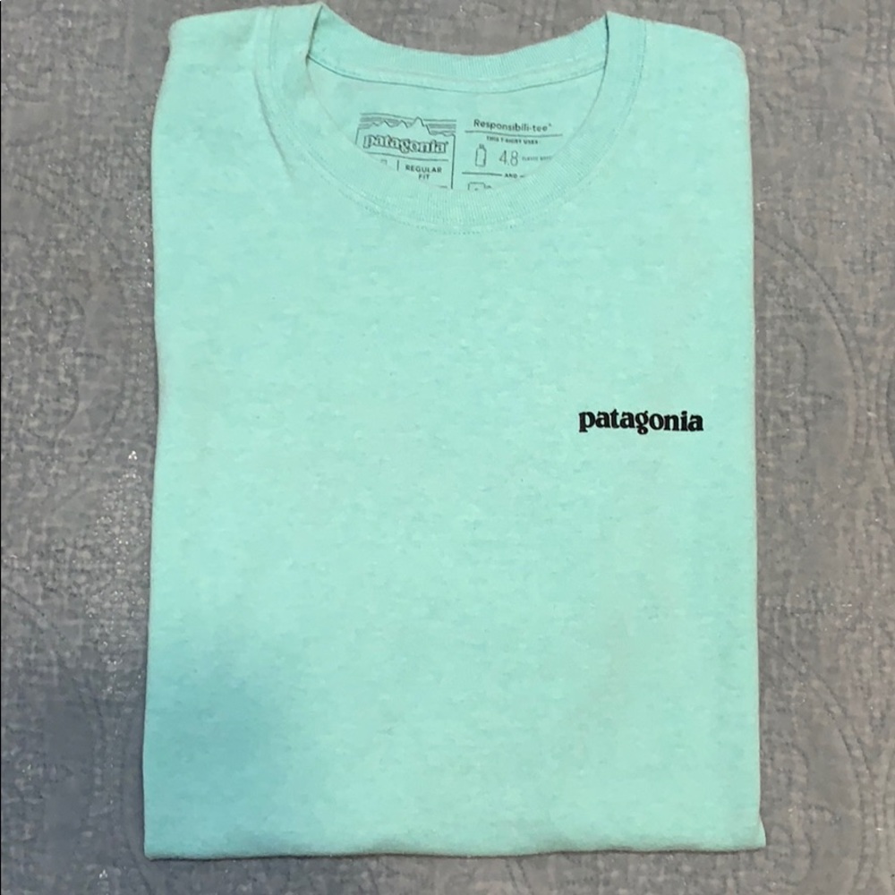 turquoise patagonia t-shirt